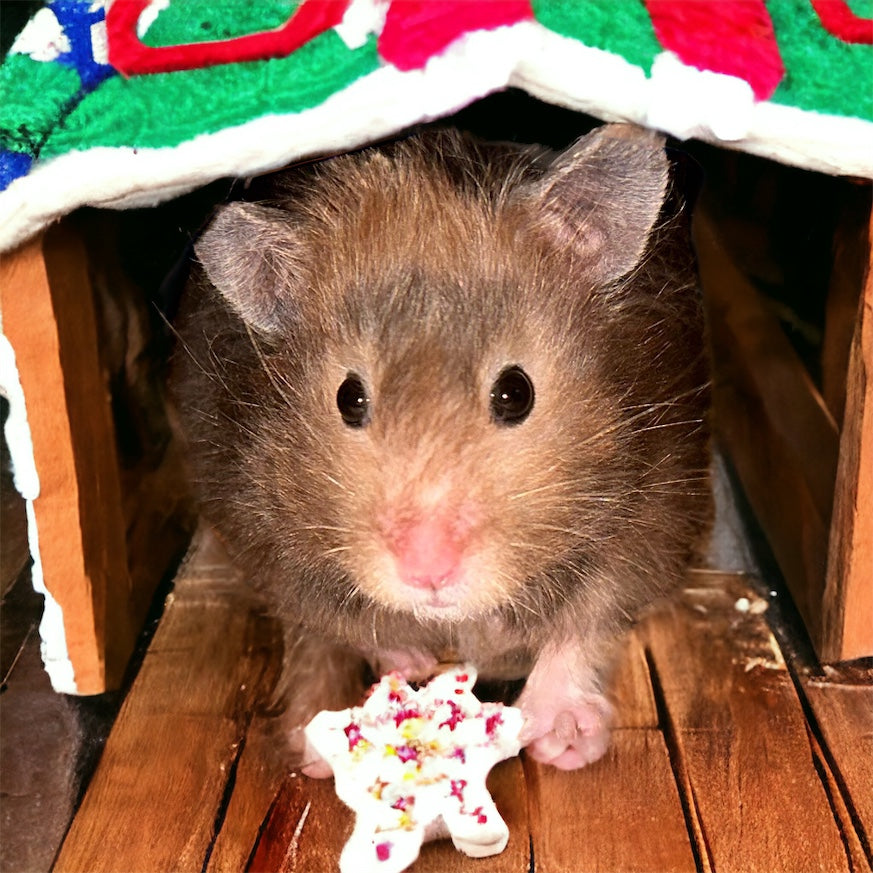 Pawtastic Bites Gift Card