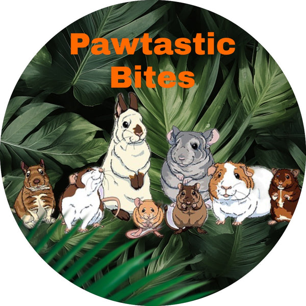 Pawtastic Bites 
