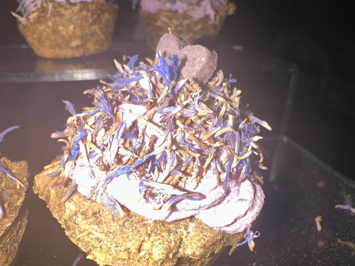 Scrumptious Double Blueberry, Banana & herbs Cupcakes/Bunnys, Guinea Pigs, Hay based, small animal treat