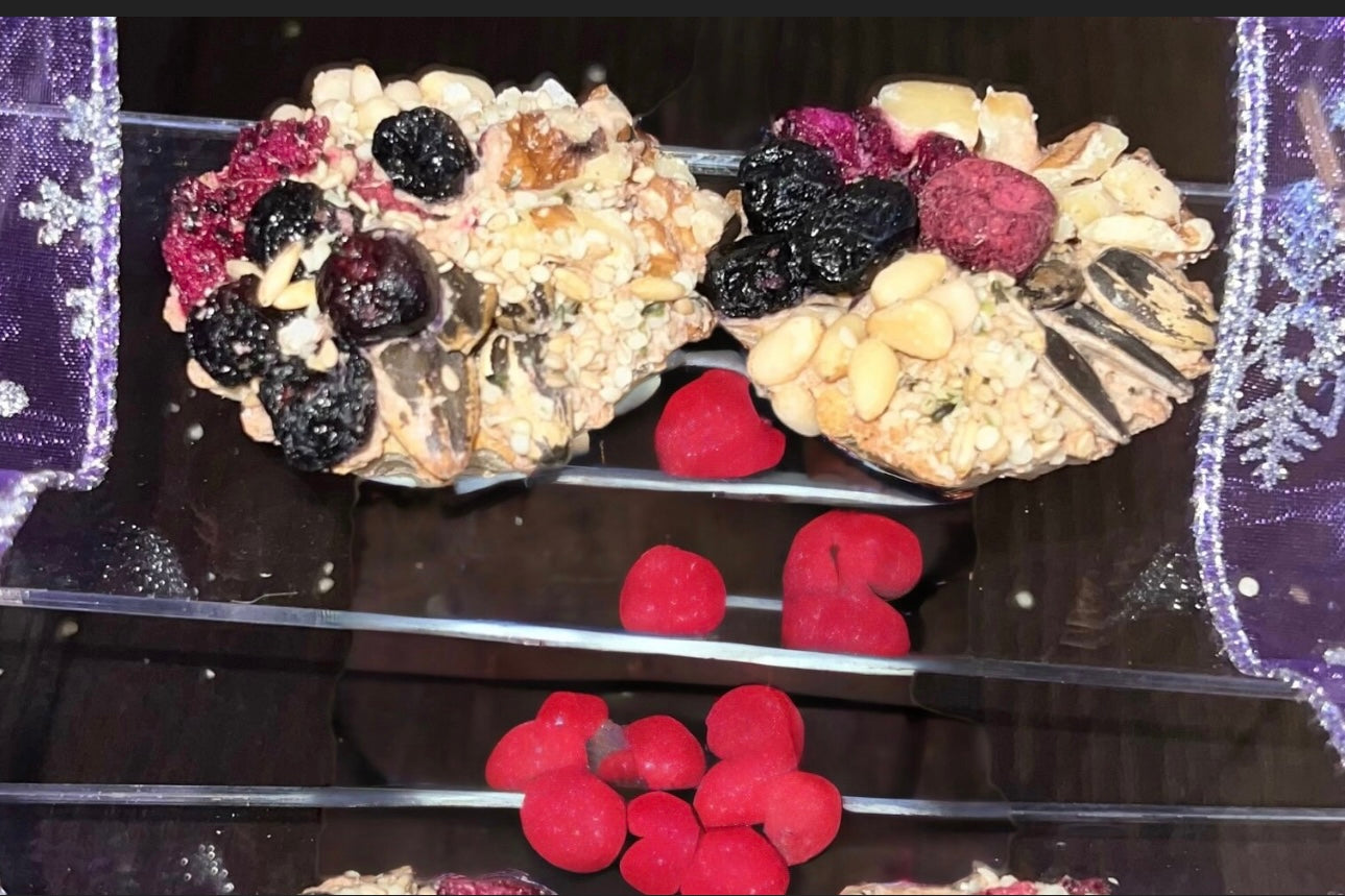 CUTE! SCRUMPTIOUS Fruit and Nut Tart Hamsters, Mice, Rats, gerbils