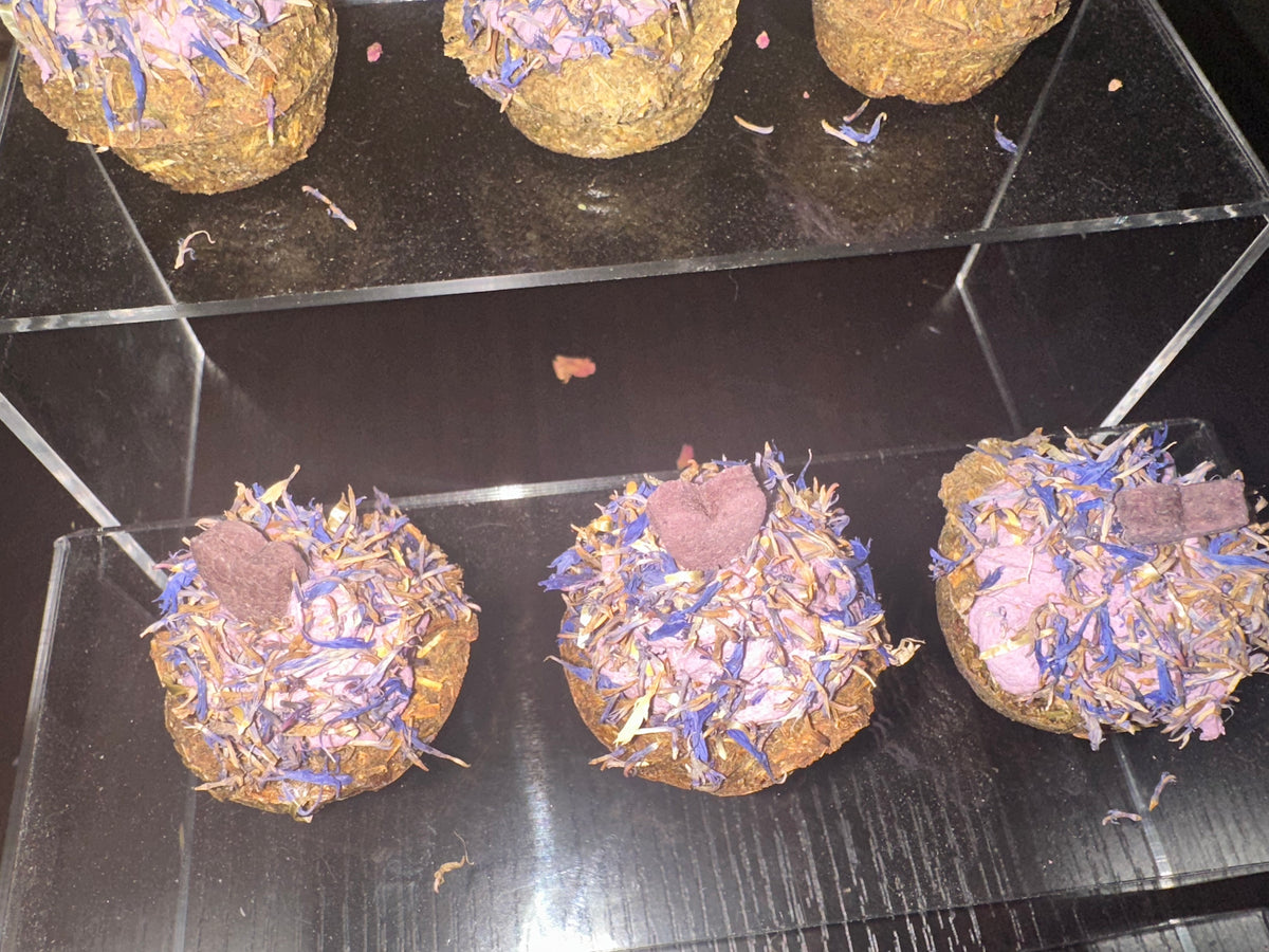 Scrumptious Double Blueberry, Banana & herbs Cupcakes/Bunnys, Guinea Pigs, Hay based, small animal treat