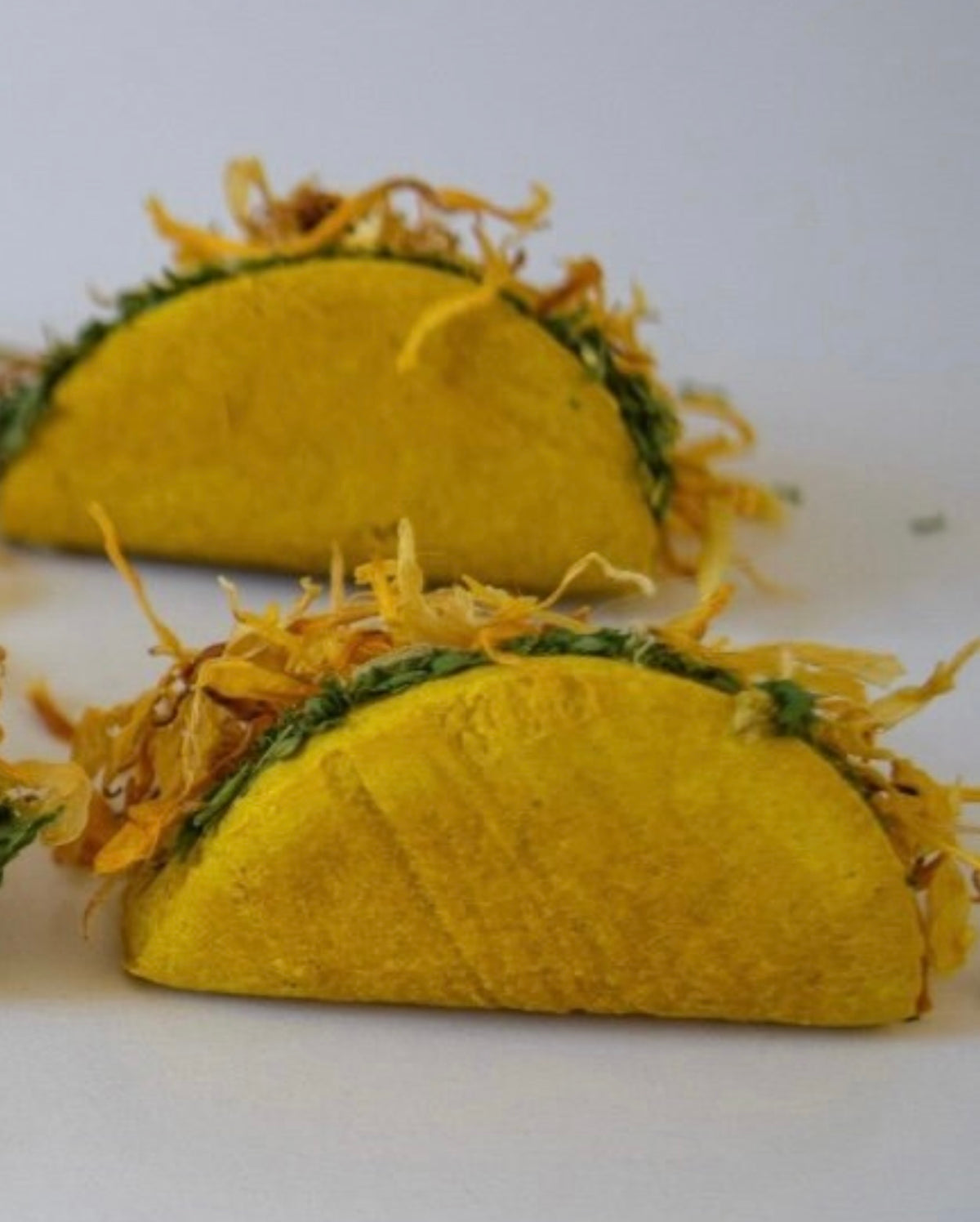 Little Sombrero Mini Tacos| Hamsters, Mice, Gerbils, Rats, Small Animals