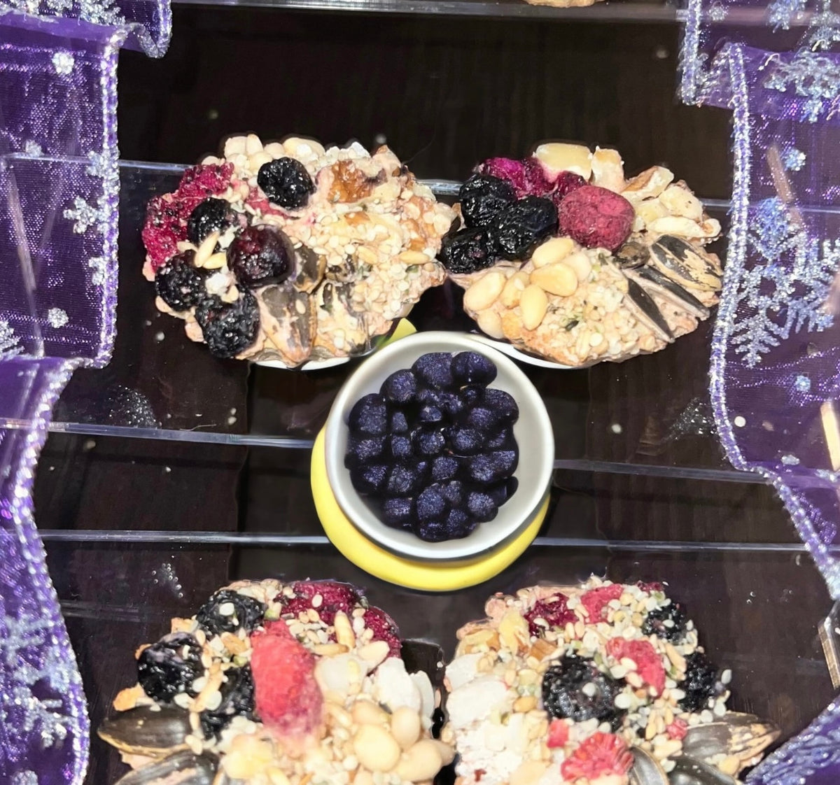 CUTE! SCRUMPTIOUS Fruit and Nut Tart Hamsters, Mice, Rats, gerbils