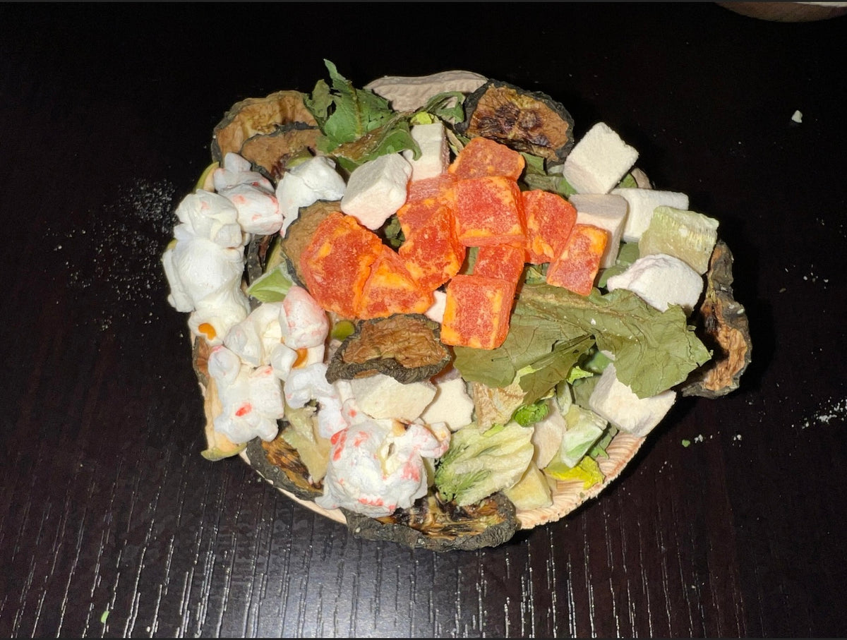 🥢Little Hammy Foo Foo Bento Bowl🥢