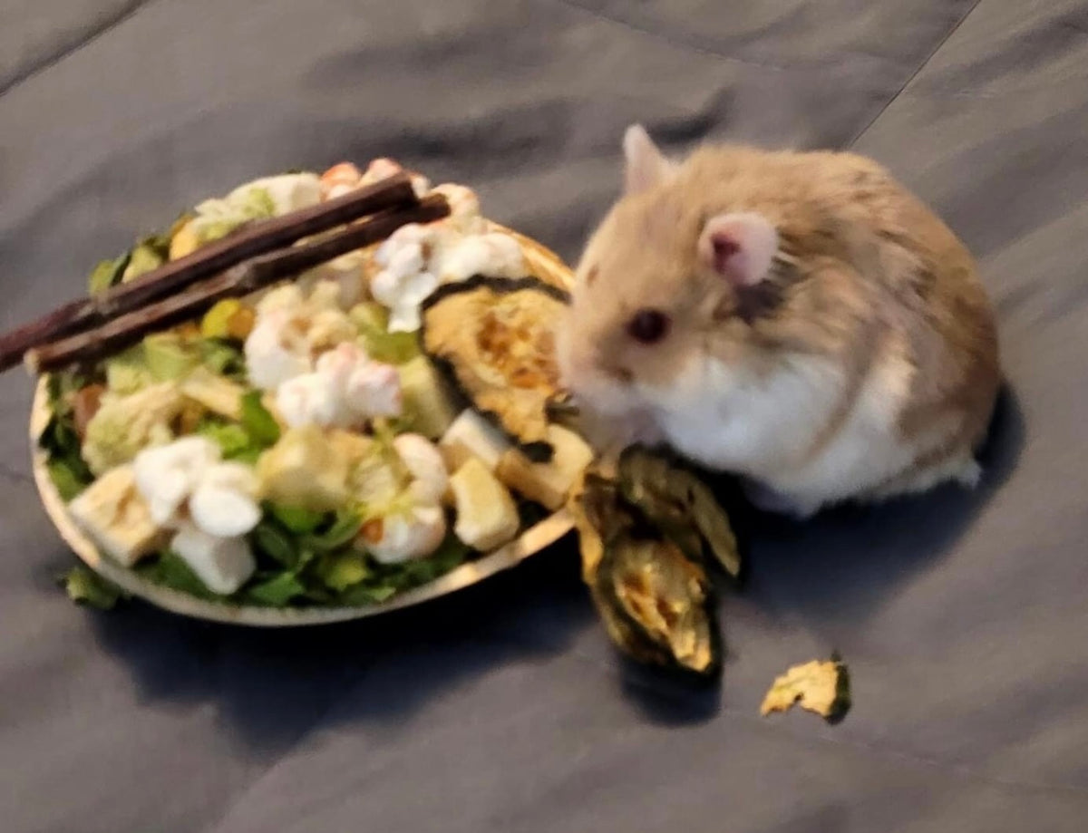 Hammy Old Fashion Apple and Oatmeal
Truffle Hamsters, Gerbils, Mice, Small Animal
