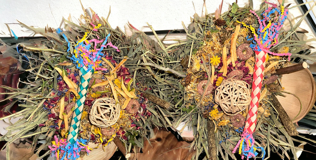 ALL IN ONE LOADED FUN Forage, Treat & Chew Toy Willow Basket