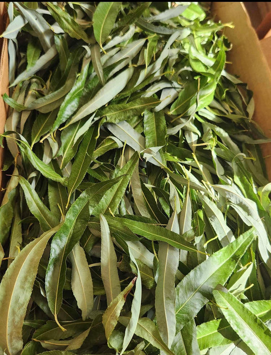 2 oz Organic Dried Willow,Dried Willow for Rabbits, Rabbit Treats, Dried Willow Leaf, Organic rabbit treat