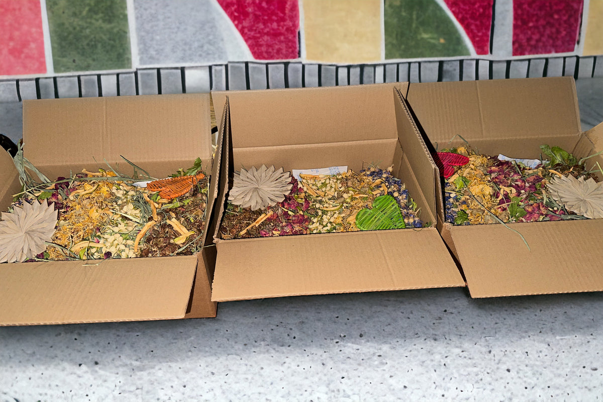 All - In- One LOADED Forage Box Bunny Rabbits, Guinea Pigs