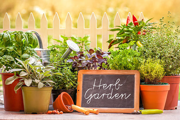 Organically Grown Herb Mix
